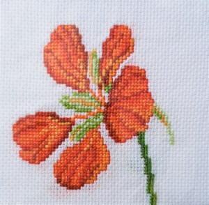 Broderie au point de croix représentant des fleurs, des capucines