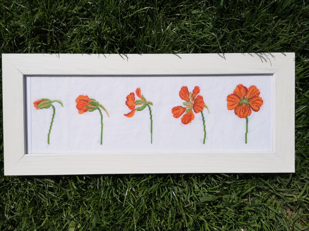 Broderie au point de croix représentant des fleurs de capucines